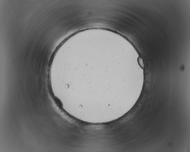 X0000115681134200912241435