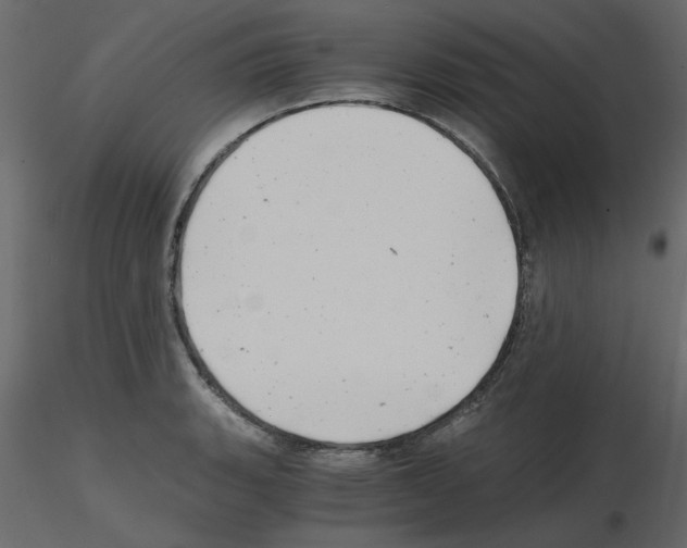 X0000115681135200912241435
