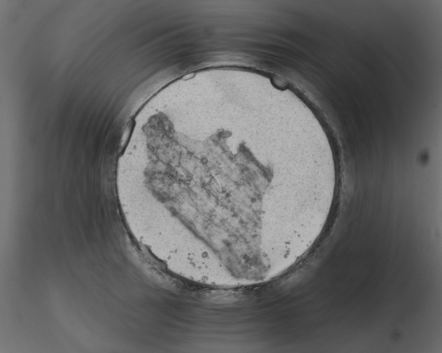 X0000115681137200912241435
