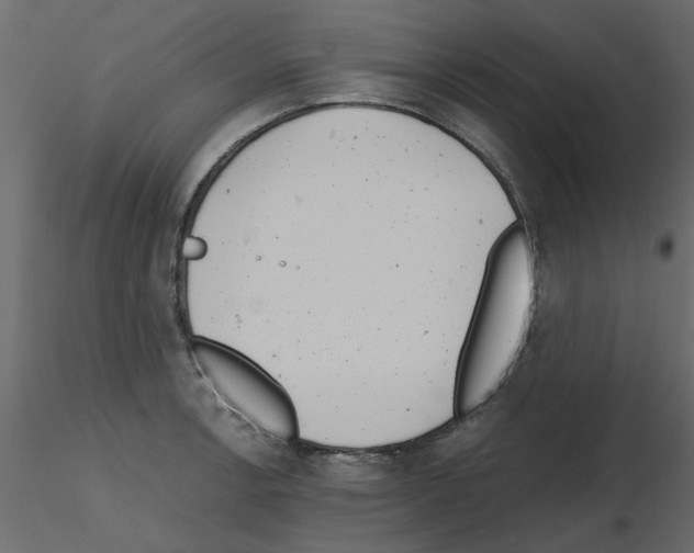 X0000115681138200912241435