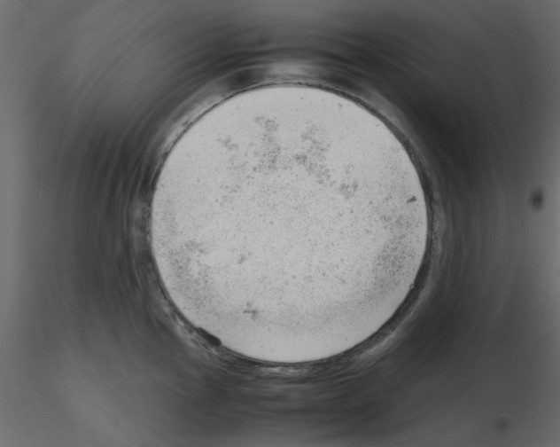 X0000115681145200912241435