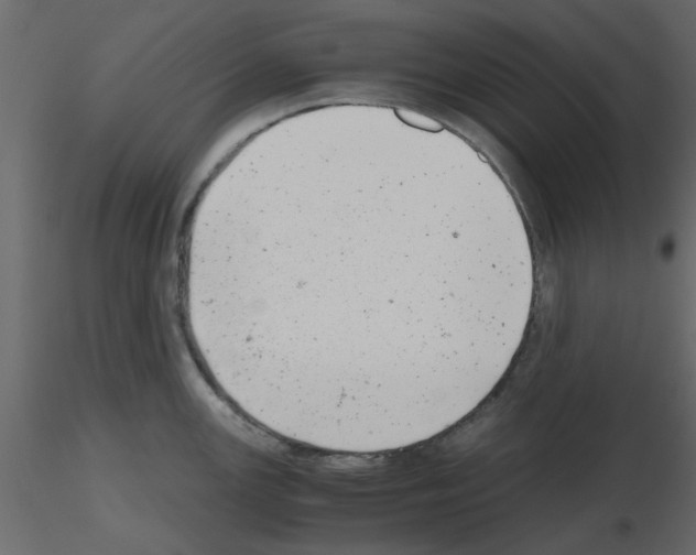 X0000115681147200912241435