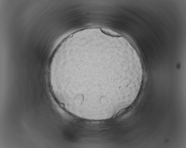 X0000115681149200912241435
