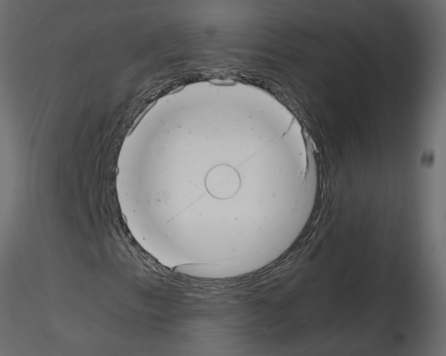 X0000115681153200912241435