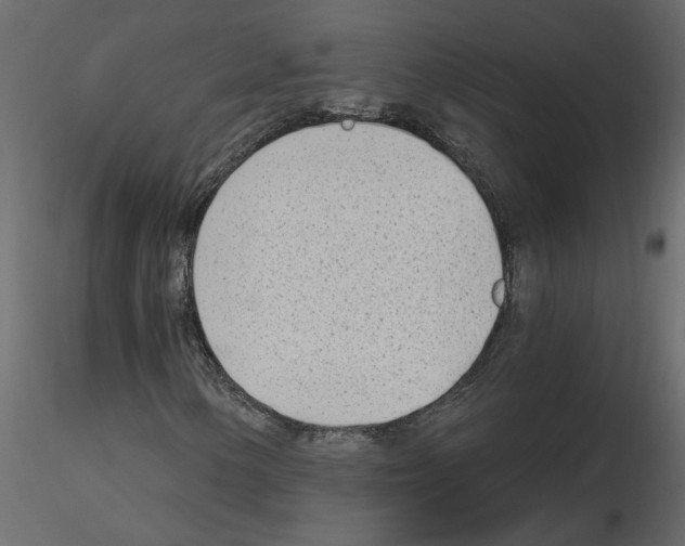 X0000115681154200912241435