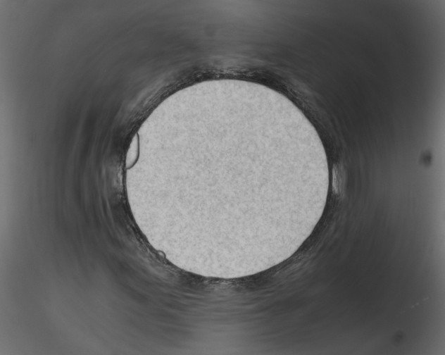 X0000115681155200912241435