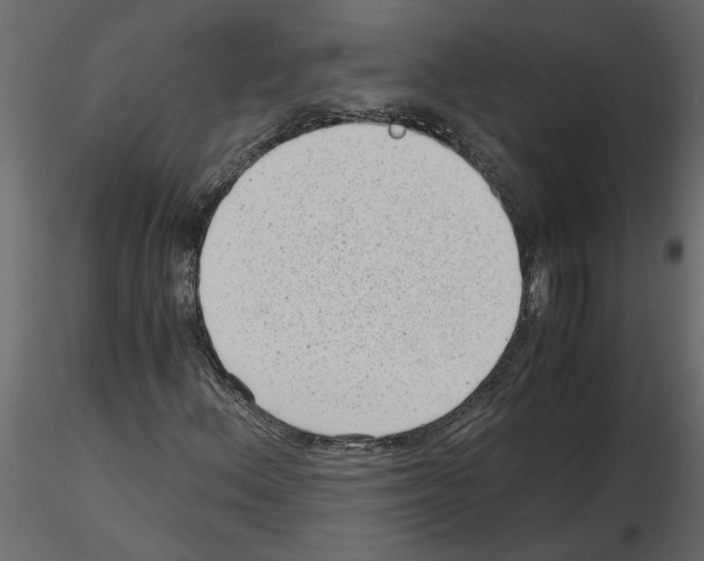 X0000115681156200912241434
