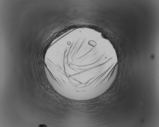 X0000115681157200912241434