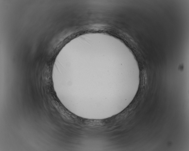 X0000115681158200912241434