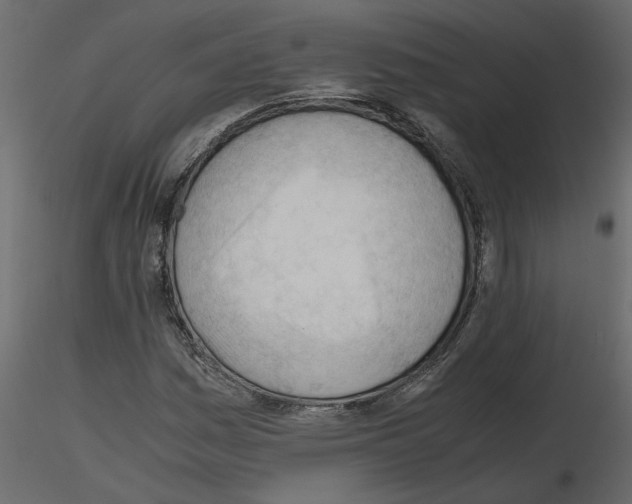X0000115681161200912241434