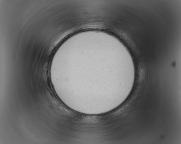 X0000115681162200912241434