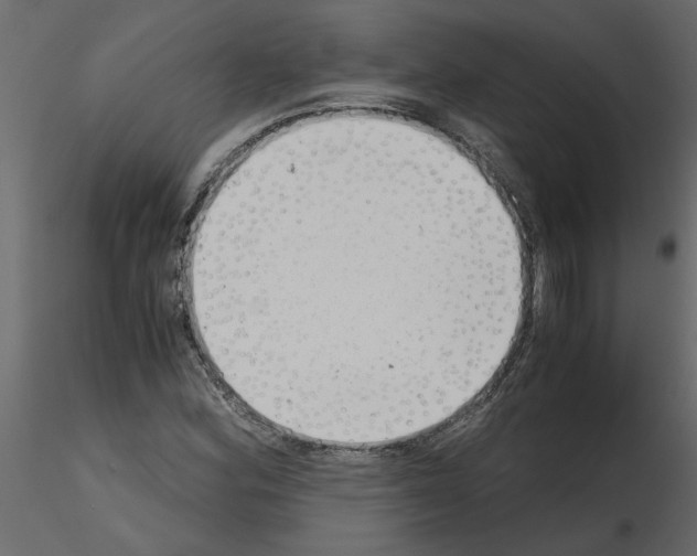 X0000115681164200912241434
