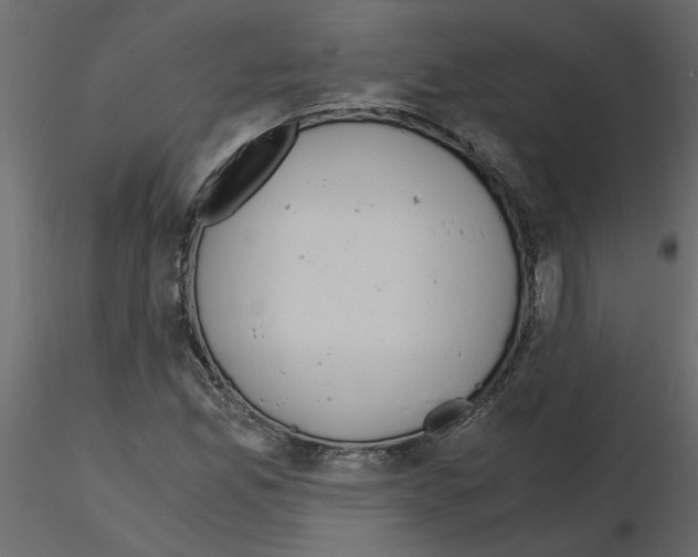 X0000115681165200912241434