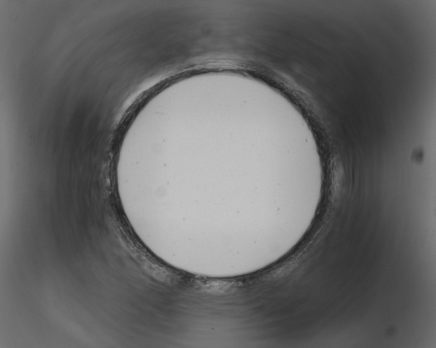 X0000115681166200912241434