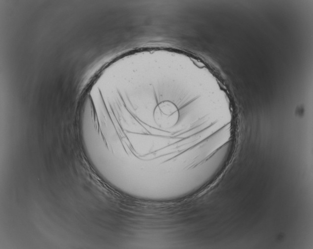 X0000115681167200912241434