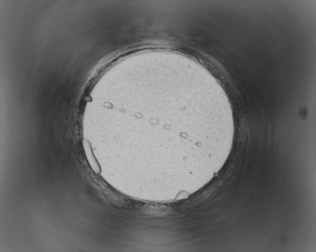 X0000115681168200912241434