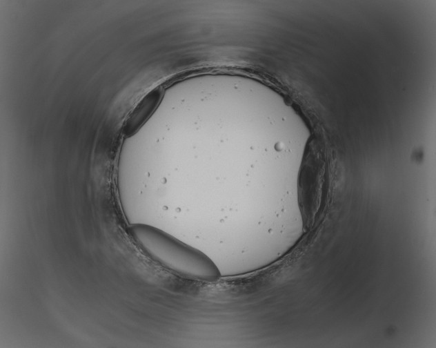 X0000115681169200912241434