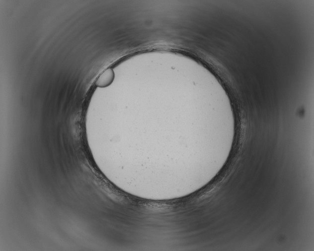 X0000115681170200912241434