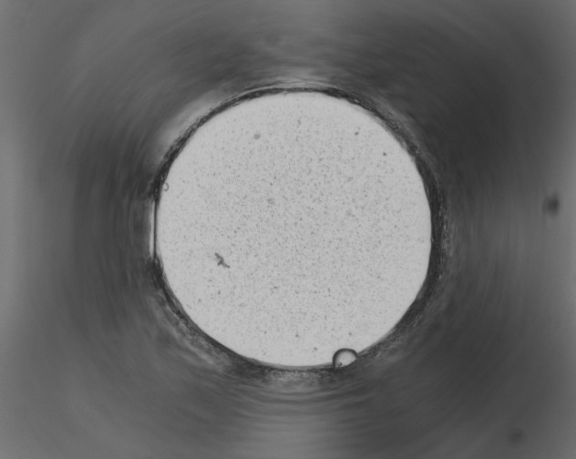 X0000115681171200912241434