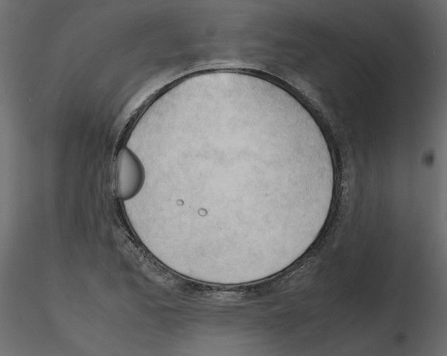 X0000115681173200912241434