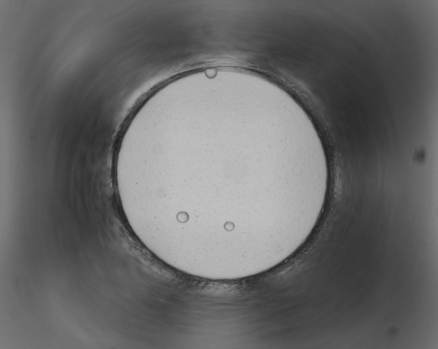 X0000115681174200912241434