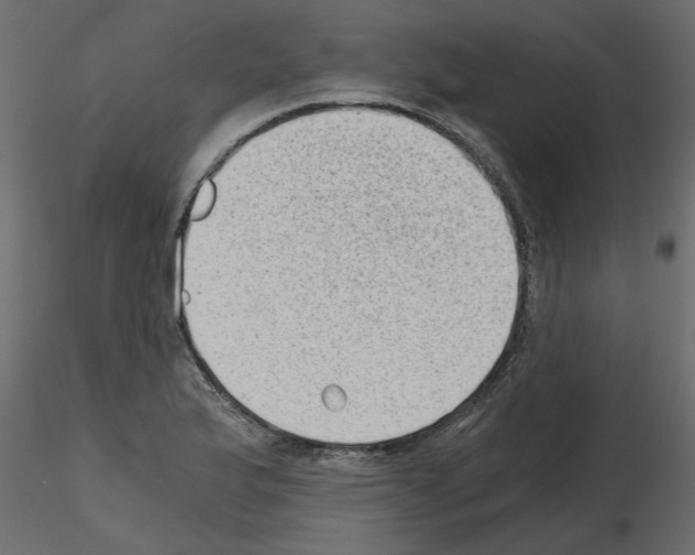 X0000115681175200912241434