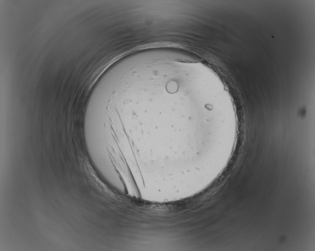 X0000115681177200912241434