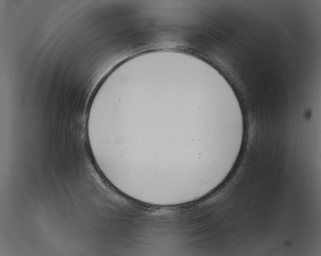 X0000115681178200912241434