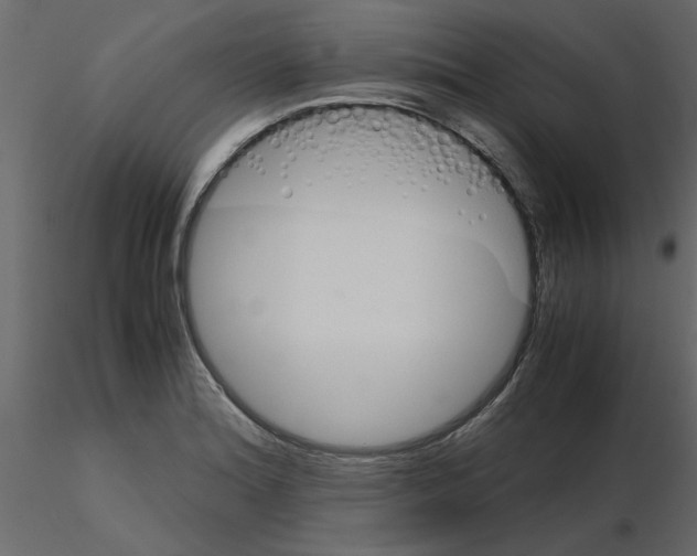 X0000115681180200912241434