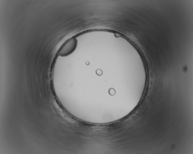 X0000115681181200912241434