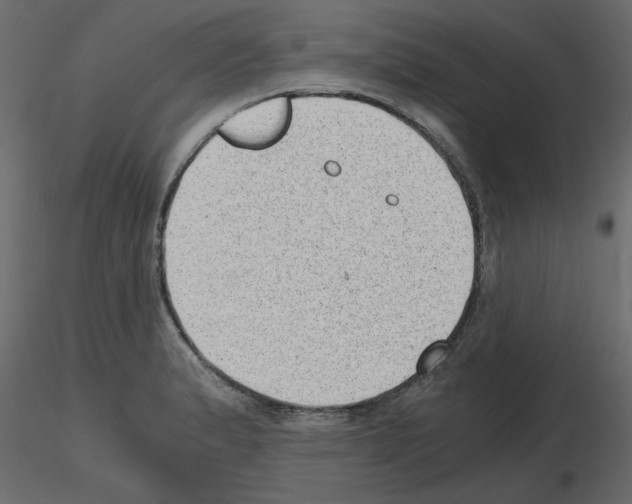 X0000115681183200912241434