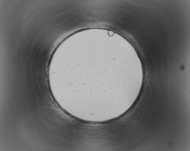 X0000115681184200912241434