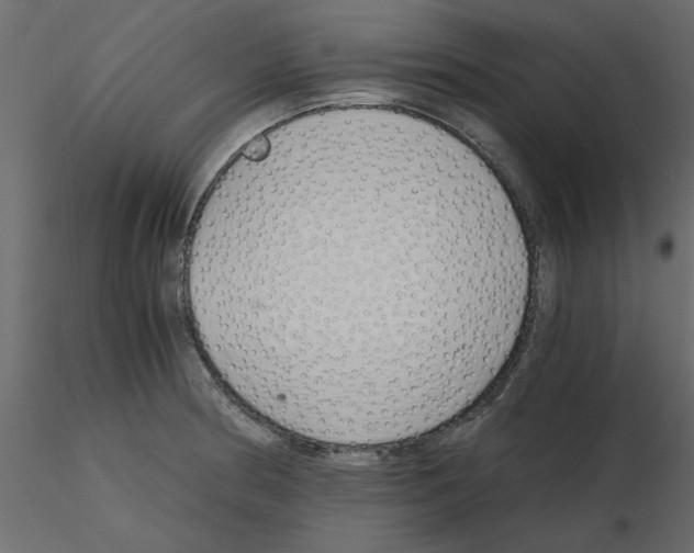 X0000115681186200912241434