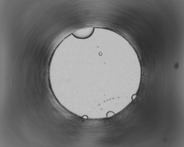 X0000115681187200912241434