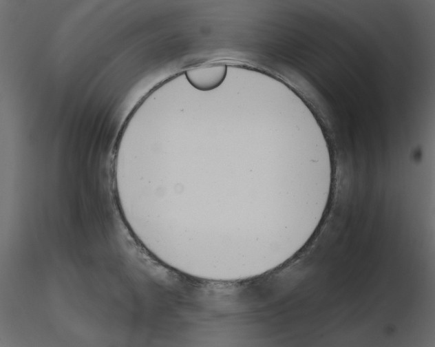 X0000115681190200912241434