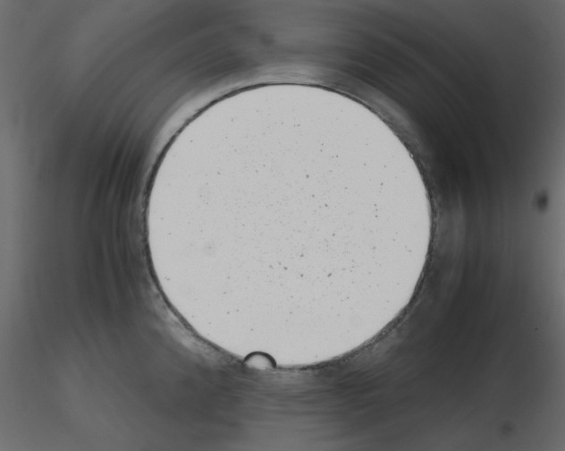 X0000115681192200912241434