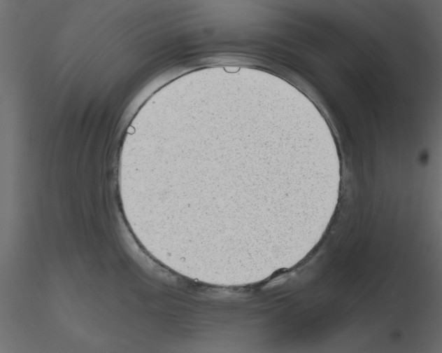X0000115681195200912241434