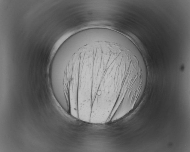 X0000115681196200912241434