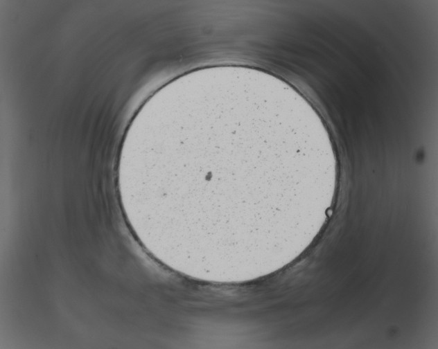 X0000115681197200912241434