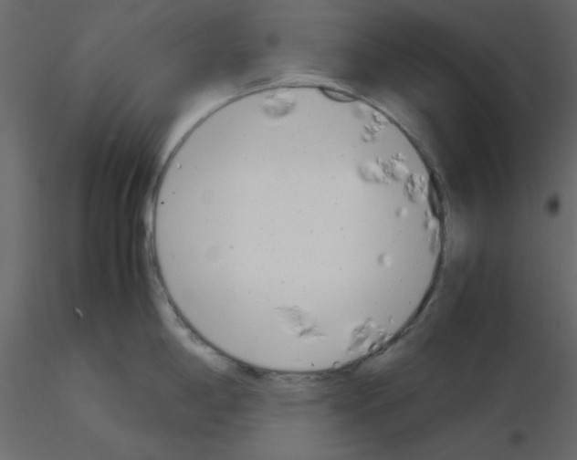 X0000115681198200912241434
