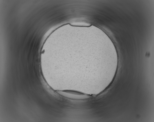 X0000115681200200912241434