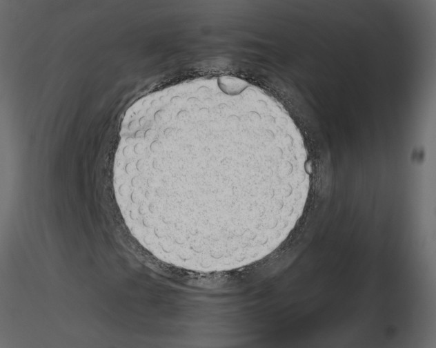 X0000115681201200912241433