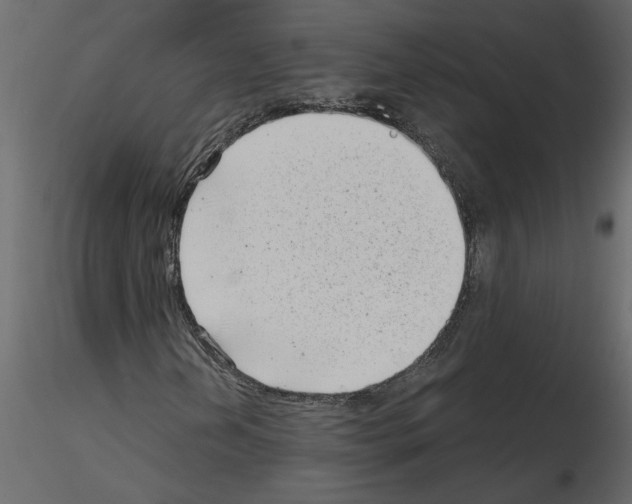 X0000115681202200912241433