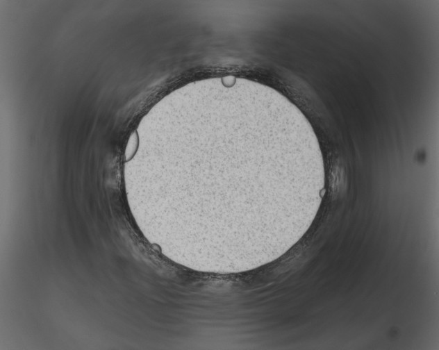 X0000115681204200912241433