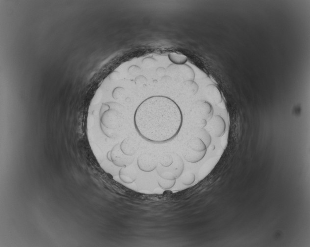 X0000115681205200912241433