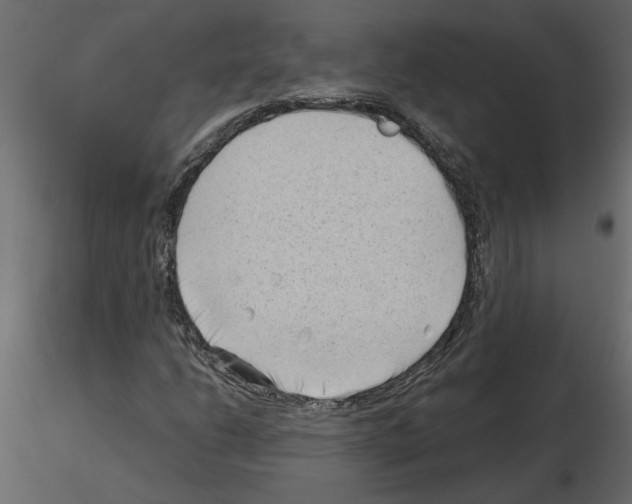 X0000115681206200912241433