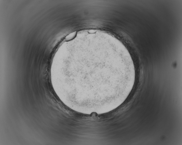 X0000115681210200912241433