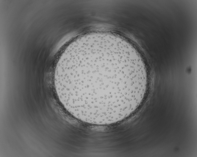 X0000115681211200912241433