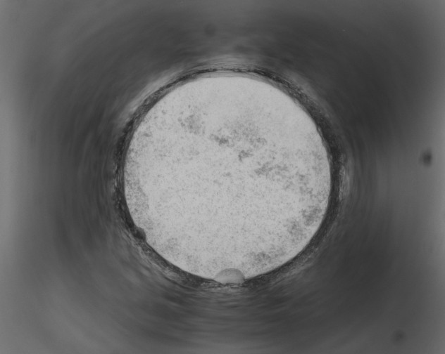 X0000115681213200912241433