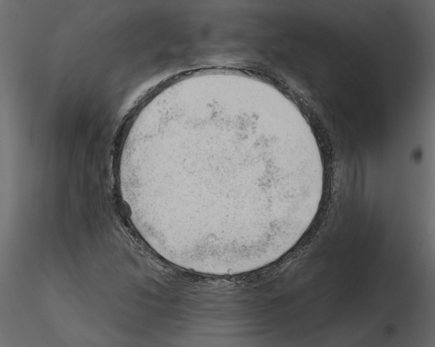 X0000115681214200912241433